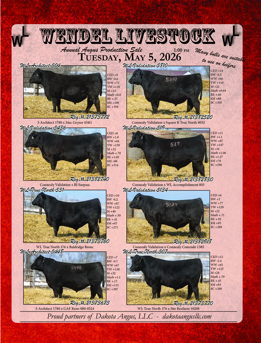 May 5th Sale Flyer